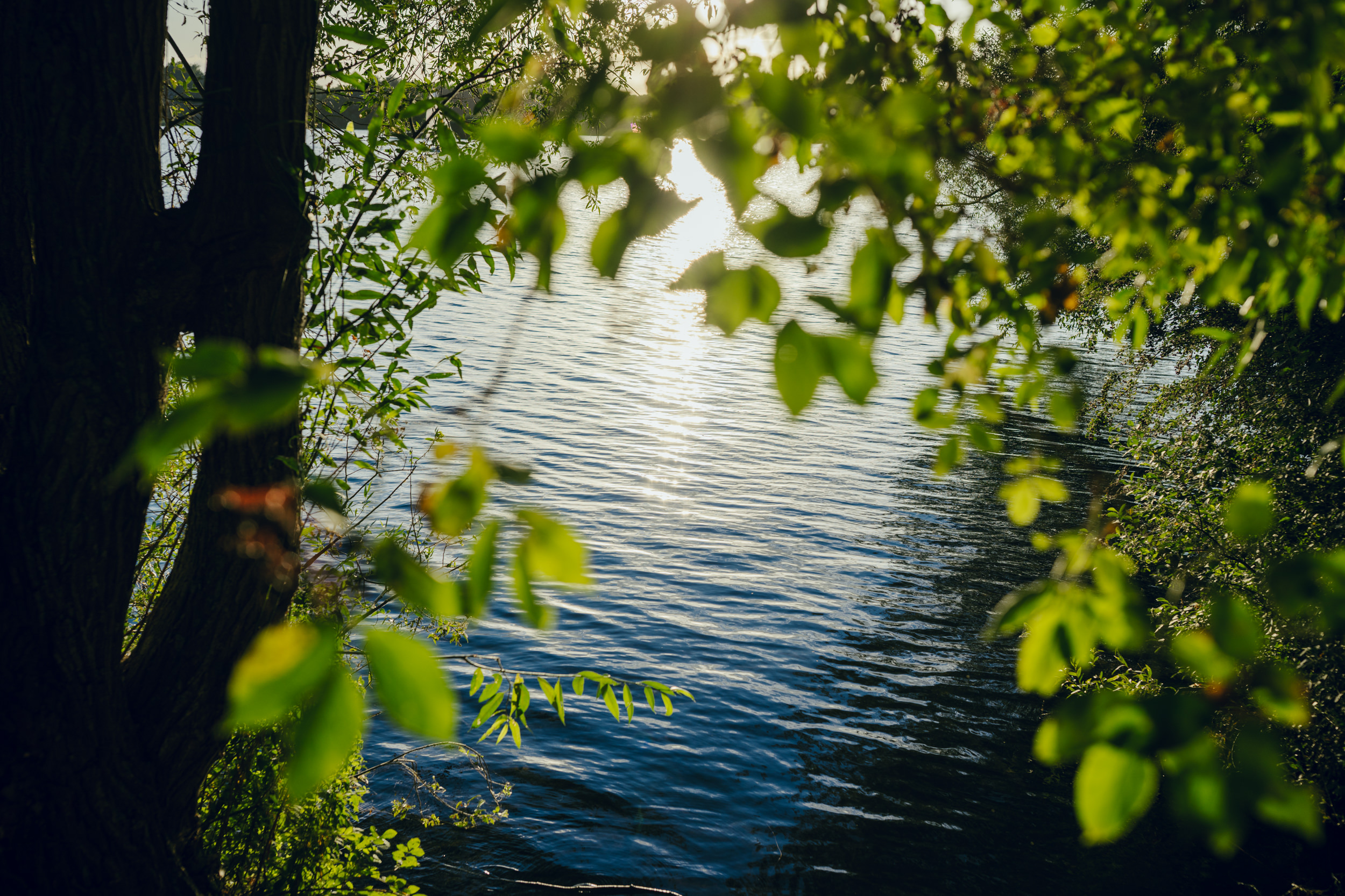 blik op proper water en natuur